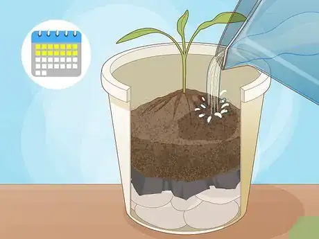 Image titled Use Horticultural Charcoal Step 7