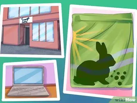 Image titled Save Money on Rabbit Care Step 1