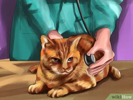 Image titled Supplement Taurine for Cats Step 7