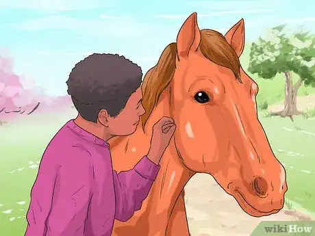 Image titled Massage a Horse Step 1