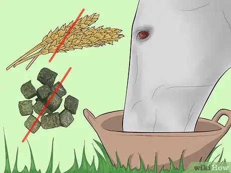 Image titled Prevent a Horse From Colicking Step 2