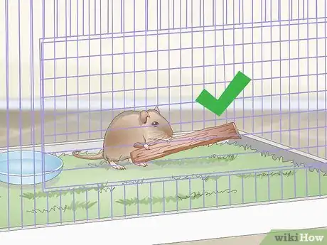 Image titled Exercise Your Gerbil Step 5
