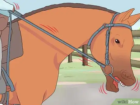 Image titled Stop a Horse Rearing Step 1