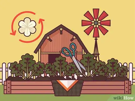 Image titled Harvest Arugula Step 6