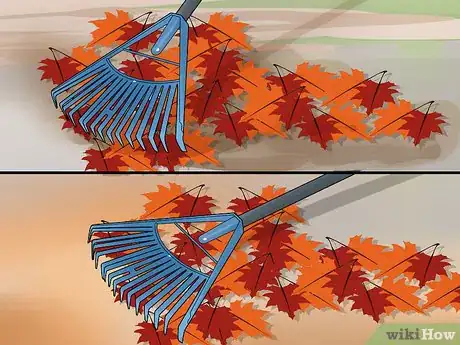 Image titled Deal with Autumn Leaves Step 4