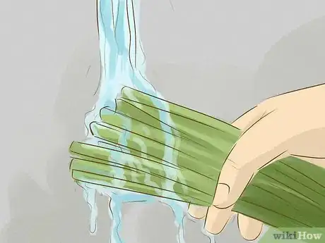 Image titled Eat Cattails Step 1