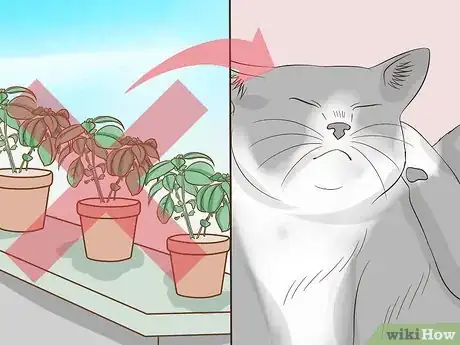 Image titled Keep a Cat Safe Step 10