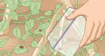 Use Organic Pesticides for Gardening