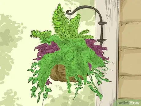 Image titled Choose Outdoor Hanging Plants Step 11