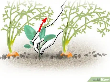 Image titled Grow Vegetables in the Southwest (USA) Step 15