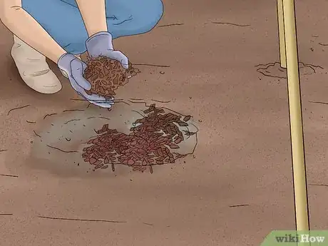 Image titled Grow Pole Beans Step 8