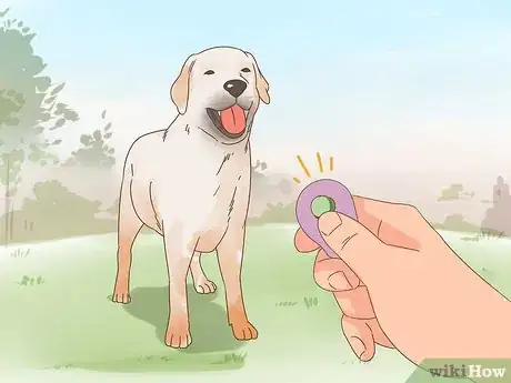 Image titled Care for a Dog Blind from Birth Step 7