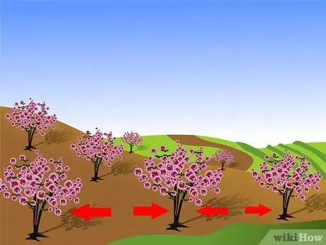 Image titled Plant a Flowering Almond Shrub Step 2