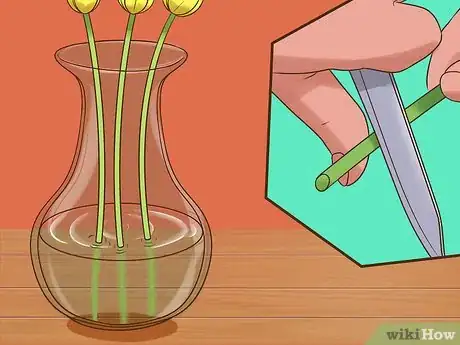 Image titled Arrange Tulips Step 10