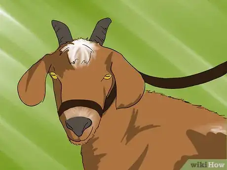 Image titled Harvest Cashmere Step 5