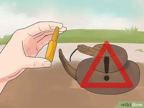 Image titled Care for Your Gun Dog Step 11