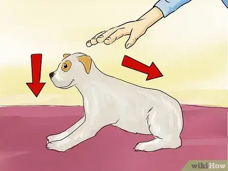 Image titled Teach a Small Dog to Lie Down on Command Step 11