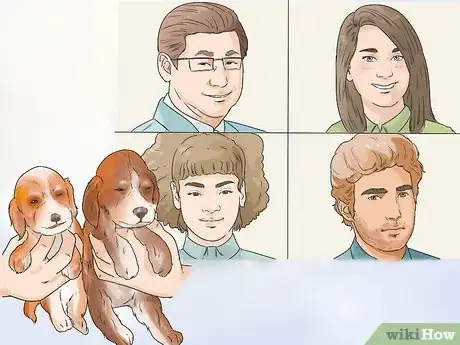 Image titled Breed Scottish Cocker Spaniels Step 5