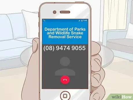 Image titled Treat a Dog for Snakebite in Australia Step 9