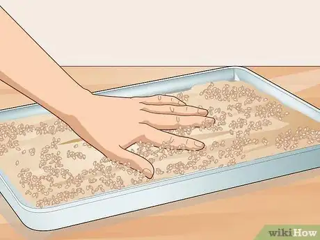 Image titled Dry Malt Step 9