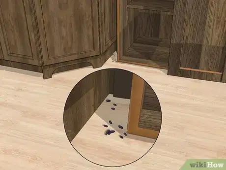Image titled Get Rid of Rats Step 2