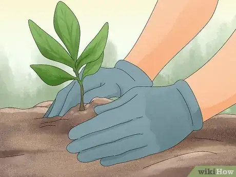 Image titled Help Your Child Help the Community Step 10