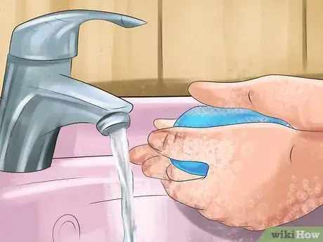 Image titled Prevent Ascarids in Dogs Step 7