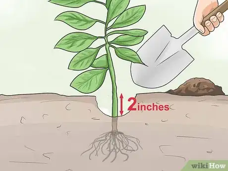 Image titled Bring Plants Indoors over Winter Step 2