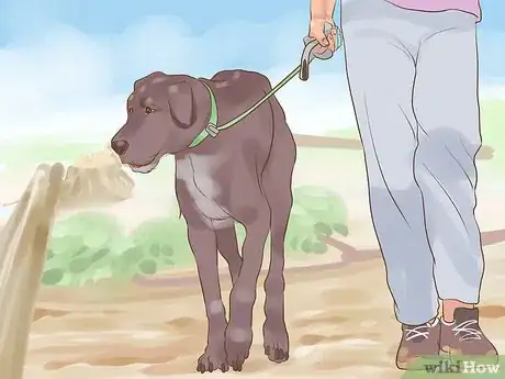 Image titled Include Your Dog in an Emergency Disaster Plan Step 13