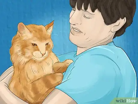 Image titled Diagnose and Treat Flea Allergies in Cats Step 9