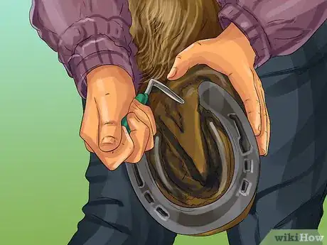 Image titled Clean a Horse's Hoof Step 7