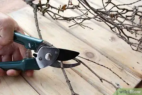 Image titled Make a Twig Picture Frame Step 3