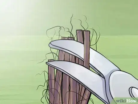 Image titled Prune Spirea Shrubs Step 14