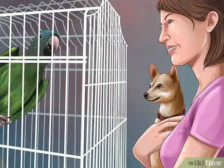 Image titled Protect Birds from Household Dangers Step 14