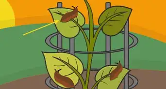 Grow Potatoes in a Wire Cage