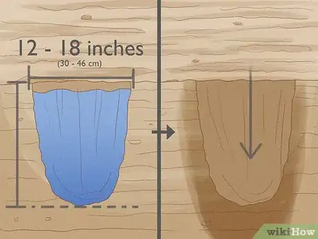 Image titled Grow Pawpaws Step 13