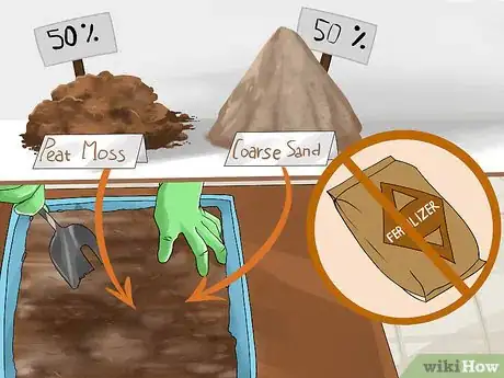 Image titled Grow Sarracenia (North American Pitcher Plants) Step 1