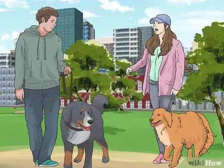 Image titled Care for Bernese Mountain Dogs Step 12