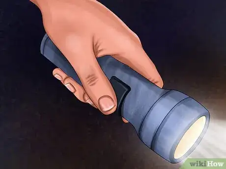 Image titled Walk Your Dog at Night Step 6