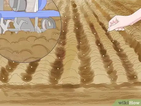 Image titled Use Crop Rotation in Gardening Step 5