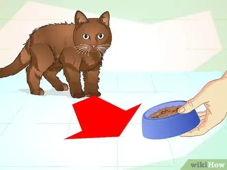 Image titled Teach Your Cat to Do Tricks Step 11