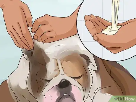 Image titled Prevent an Older Dog from Overheating Step 8