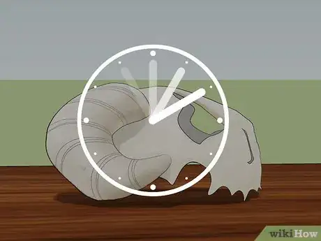 Image titled Make a Neliel Mask Step 18