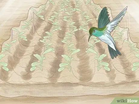 Image titled Protect Your Garden from Birds Step 5