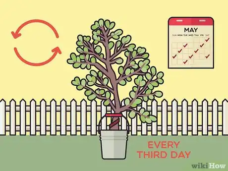 Image titled Harvest Rubber Step 14