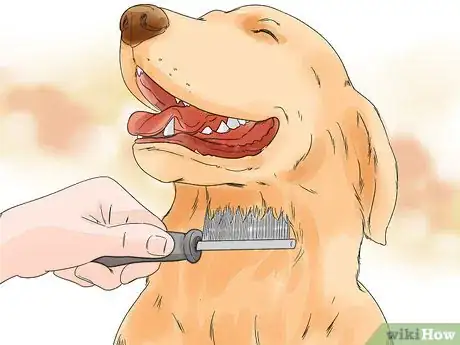 Image titled Photograph Dogs Step 1