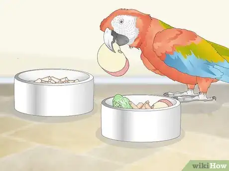 Image titled Treat Allergies in Macaws Step 8