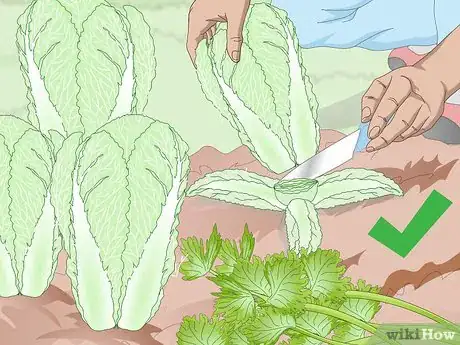 Image titled Prepare Your Garden for the Fall Step 5