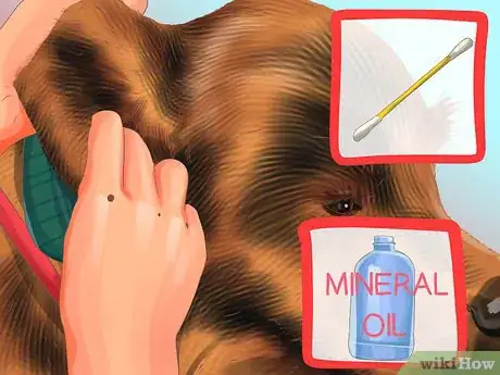 Image titled Groom a Thick Furred Dog Step 13