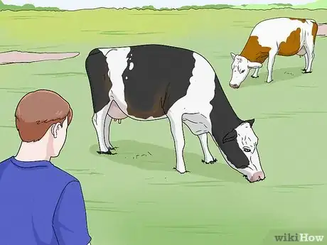 Image titled Increase Dairy Milk Production Step 2